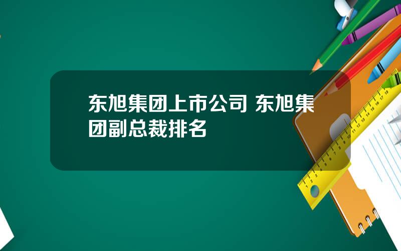 东旭集团上市公司 东旭集团副总裁排名